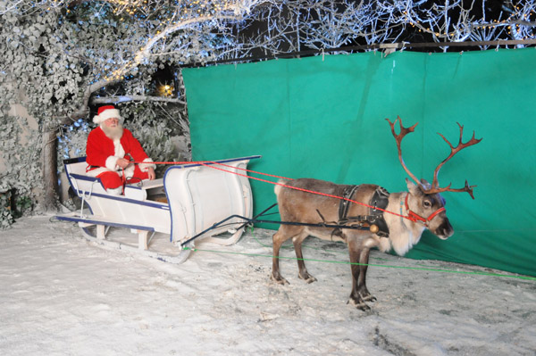 Rudolf w saniach Za chwilę Mikołaj odjedzie w niebo na saniach zaprzężonych w renifera. Ta scena znajduje się na samym końcu filmiku. Zielone tło, tzw "green box", zapewni, że nie będzie widać zielonych lin, którymi tak naprawdę to ludzie pociągną ciężkie sanie z Mikołajem.