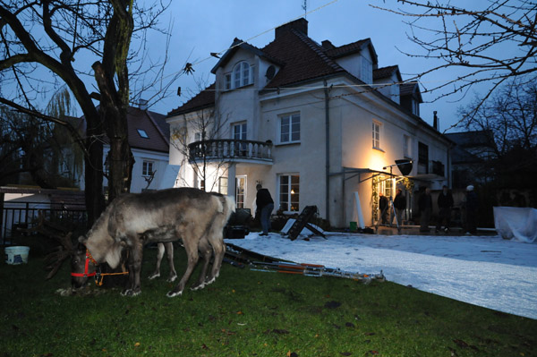 W oczekiwaniu na nagranie W przerwach między nagraniami poszczególnych scen, był czas na karmienie i odpoczynek. Na pierwszym planie widoczny jest nasz Zygmunt, który pojechał na plan z Rudolfem jako zapasowy dubler.